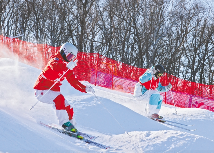 自由式滑雪雪上技巧比赛收官 黑龙江队和河南队分享最后两金
